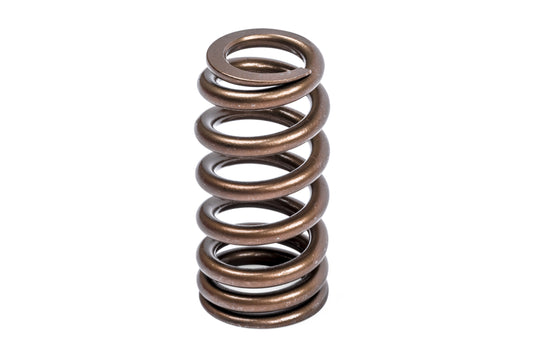 APR Valve Spring Kit (1 Set) - Image 3718