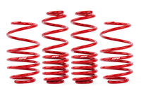 APR Roll-Control Lowering Springs - MK7 MK7.5 GTI Golf R - Image 3987
