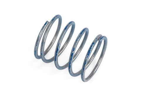 APR R1 DV Higher Pressure Spring - APR Part Z1001791