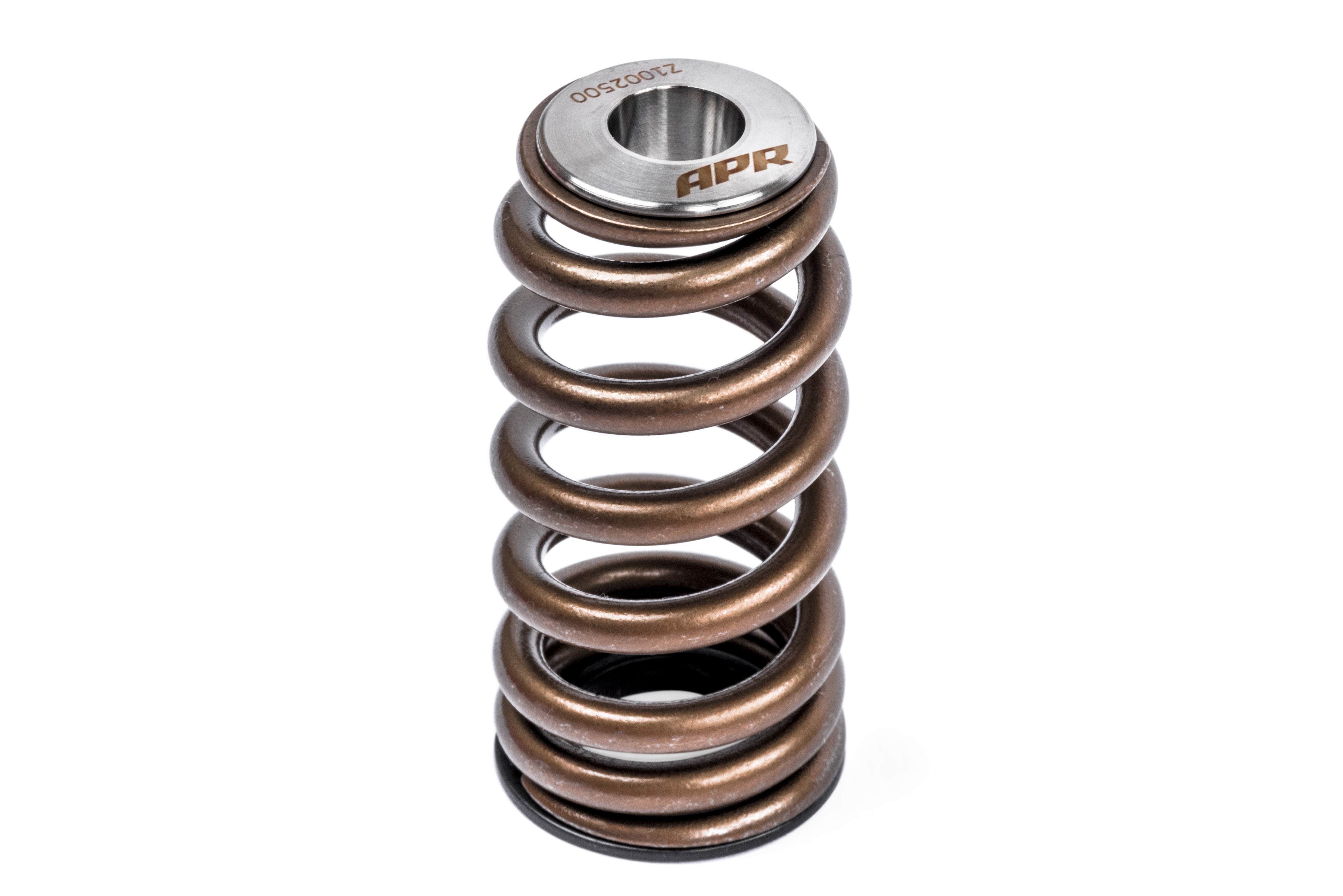 APR Valve Spring Kit (1 Set) - Image 3719