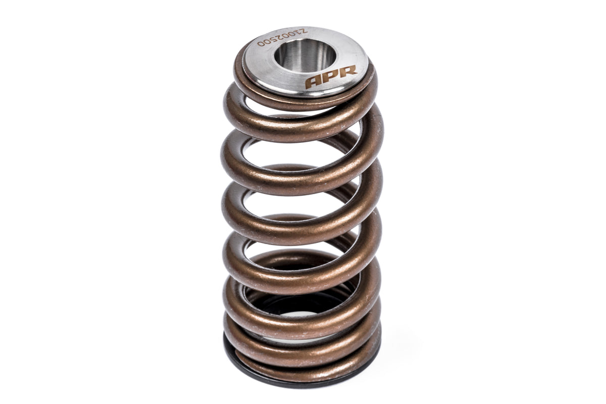 APR Valve Spring Kit (1 Set) - Image 3719