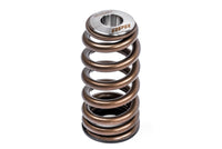 APR Valve Spring Kit (1 Set) - Image 3719