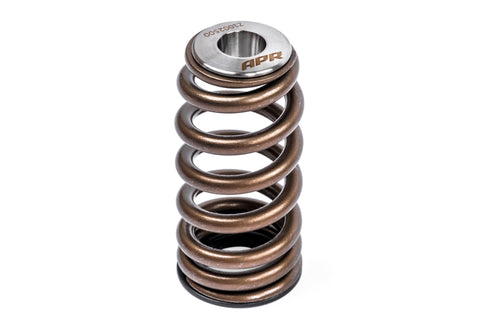 APR Valve Spring Kit (1 Set) - Image 3719