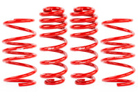 APR Roll-Control Lowering Springs - MK8 GTI - Image 3997