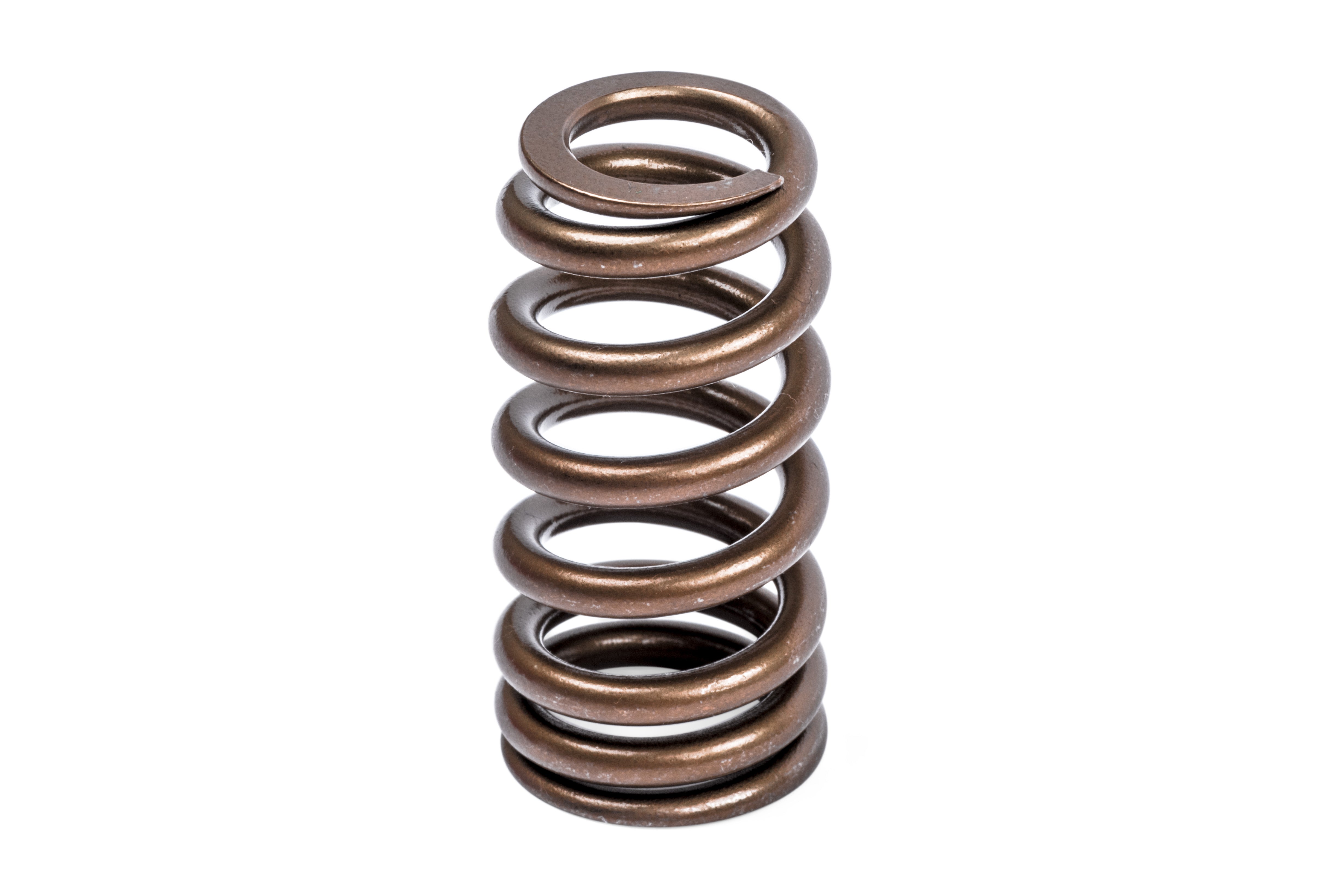 APR Valve Spring Kit (1 Set) - Image 3718