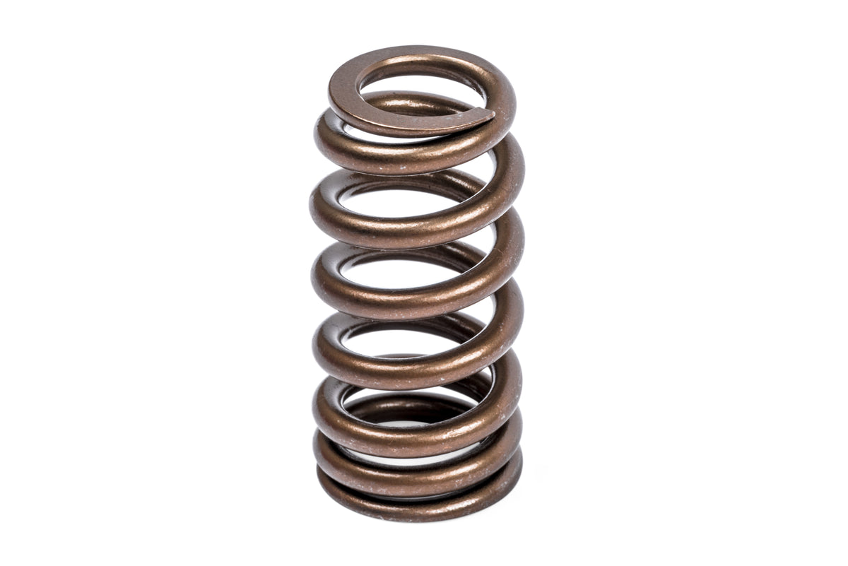 APR Valve Spring Kit (1 Set) - Image 3718