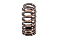 APR Valve Spring Kit (1 Set) - Image 3718