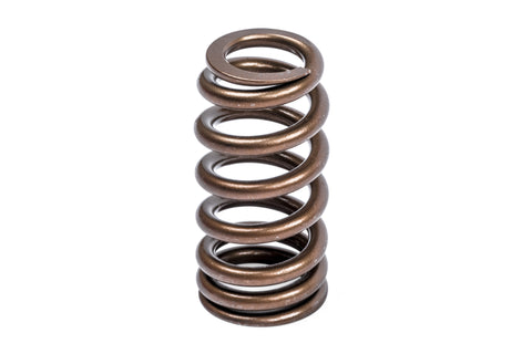 APR Valve Spring Kit (1 Set) - Image 3718