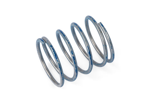 APR R1 DV Higher Pressure Spring - Image 4725